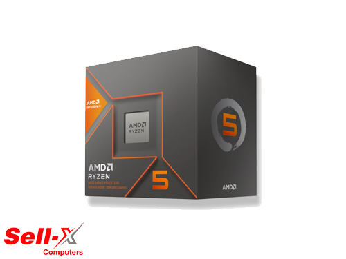 AMD RYZEN 5 8600G Desktop Processor